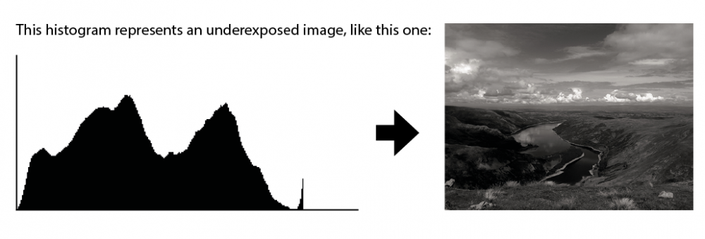 histogram in action